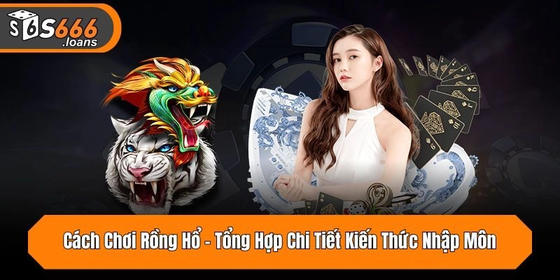 Cách Chơi Rồng Hổ - Tổng Hợp Chi Tiết Kiến Thức Nhập Môn