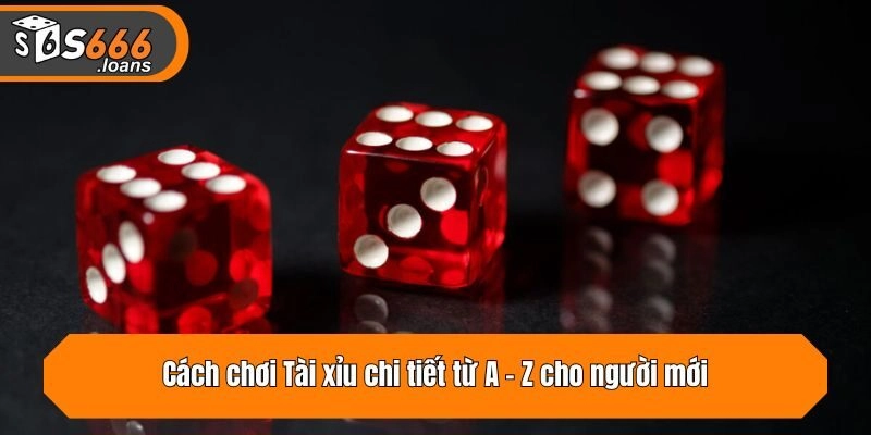 Cách chơi Tài xỉu chi tiết từ A - Z cho người mới