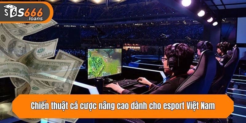 Chiến thuật cá cược nâng cao dành cho esport Việt Nam