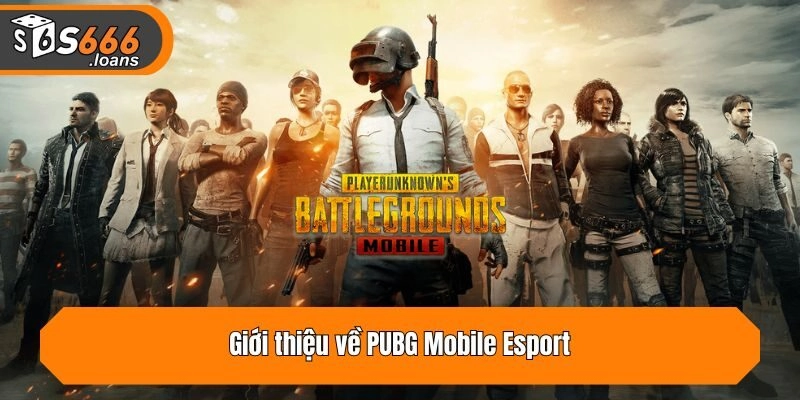 Giới thiệu về PUBG Mobile Esport