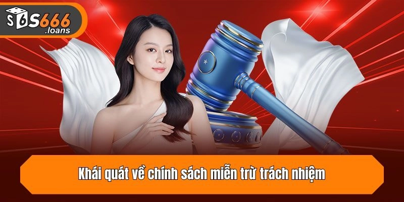 Khái quát về chính sách