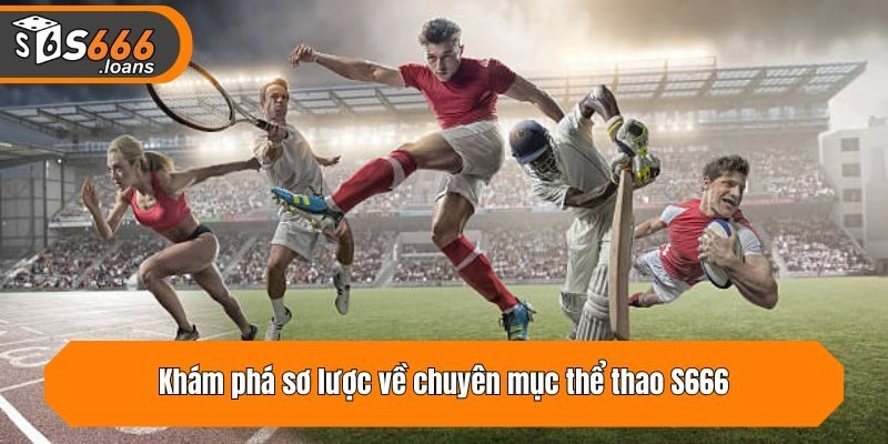 Khám phá sơ lược về chuyên mục thể thao S666