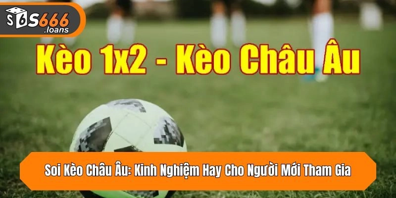 Soi Kèo Châu Âu: Kinh Nghiệm Hay Cho Người Mới Tham Gia