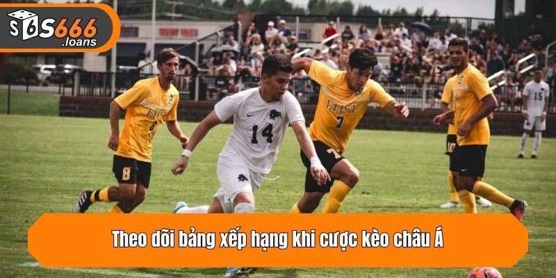 Theo dõi bảng xếp hạng khi cược kèo châu Á