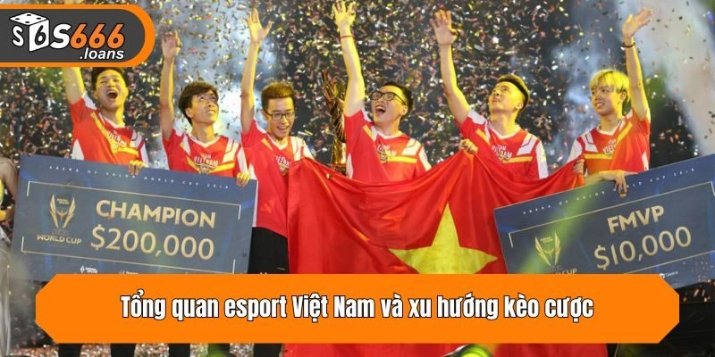Tổng quan esport Việt Nam và xu hướng kèo cược